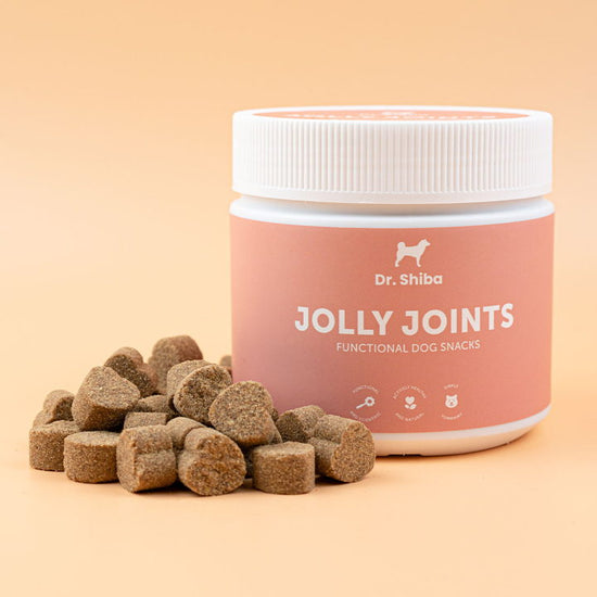 DR. SHIBA Dog Supplements Jolly Joints